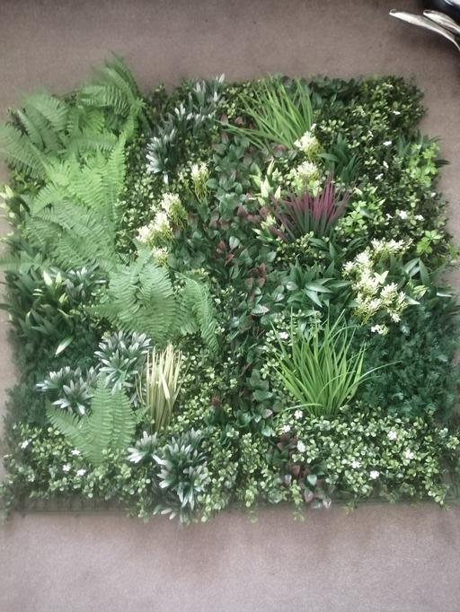 Buy & Sell Moseley Village Wolverhampton - Photos for New RRP £50 living wall panel plastic