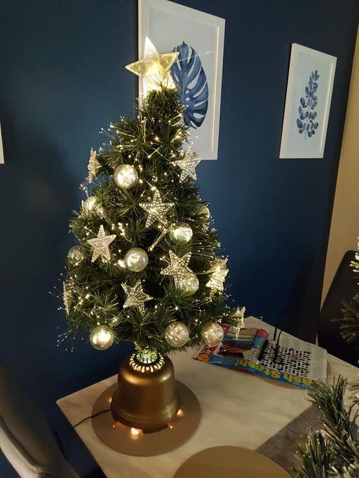 Buy & Sell Oakes Kirklees - Photos for Christmas Tree