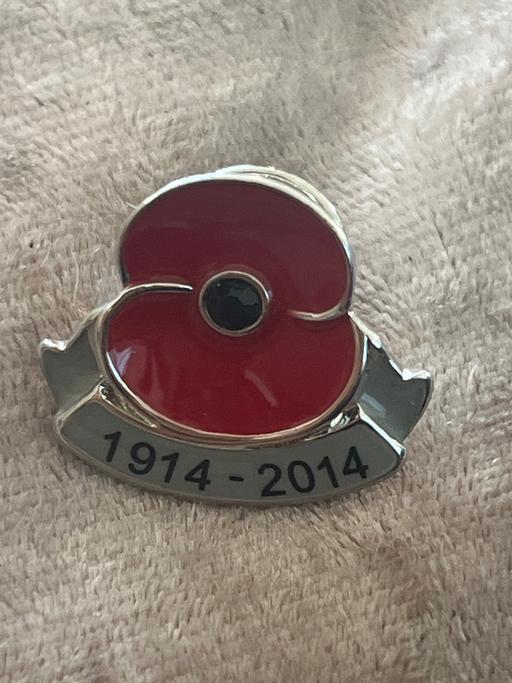 Buy & Sell Rottingdean Brighton - Photos for Poppy pin brooch