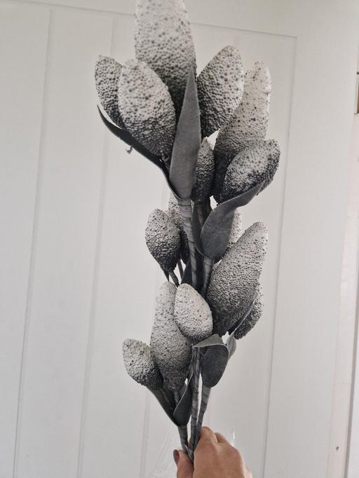 Buy & Sell Prescot Knowsley - Photos for New Large Grey & White Flower stem