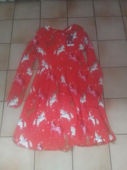 Buy & Sell Streetly Walsall - Photos for BRAND NEW XMAS DRESS