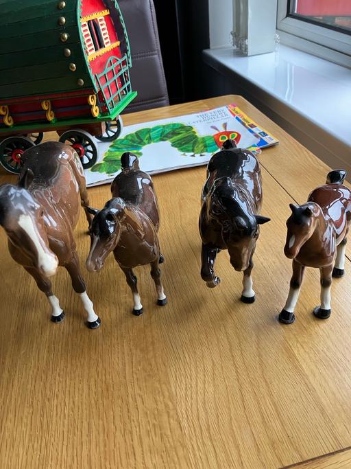 Buy & Sell Sutton New Hall Birmingham - Photos for 4 Horses