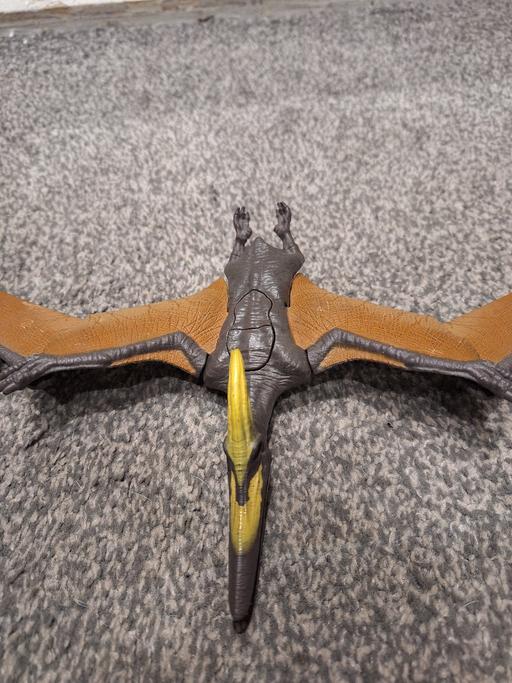Buy & Sell Northfield Birmingham - Photos for dinosaur