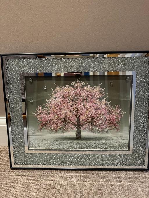 Buy & Sell New Eltham South East London - Photos for Beautiful pink & silver crystal picture
