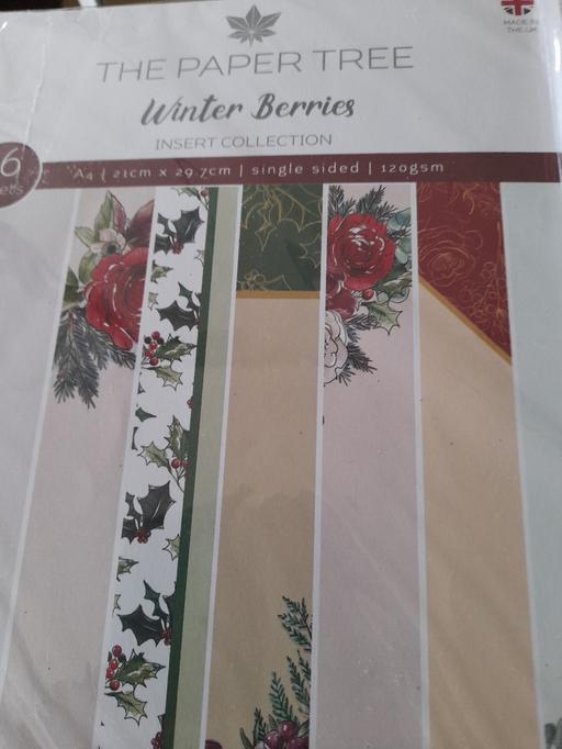 Classes Feckenham Redditch - Photos for Winter berries set