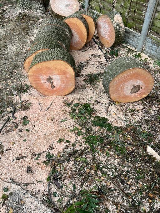 Buy & Sell Hall Green Birmingham - Photos for Tree surgeons and hedges and grass cutting