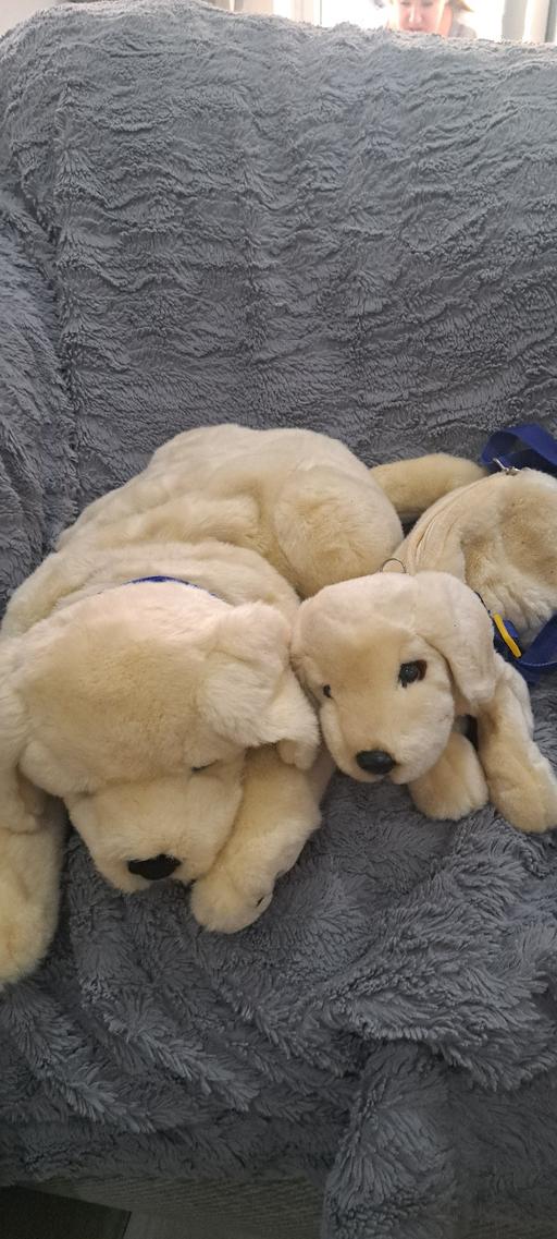 Buy & Sell Sutton Coldfield Birmingham - Photos for Andrex Plush dogs x2