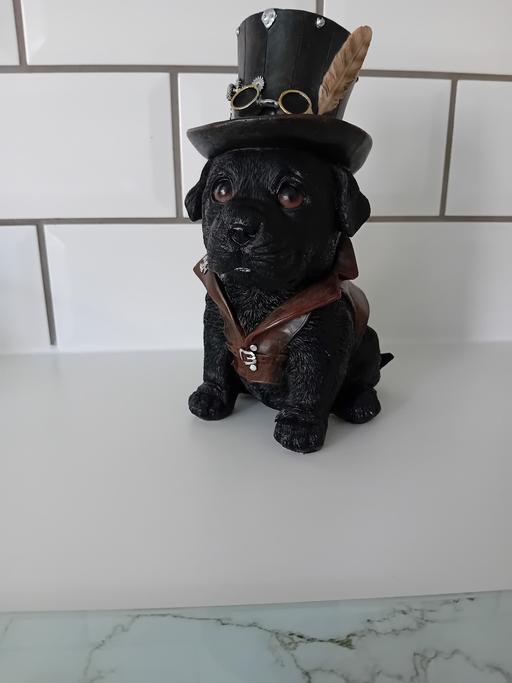 Buy & Sell Tipton Sandwell - Photos for nemesis cogsmith dog