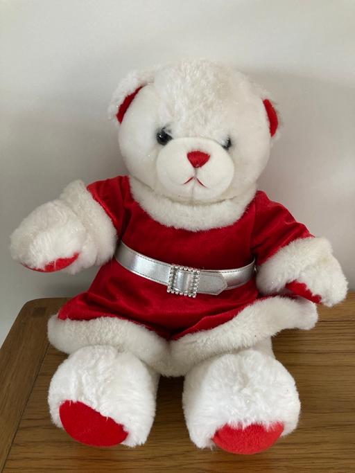 Buy & Sell Sedgley Dudley - Photos for Christmas bear