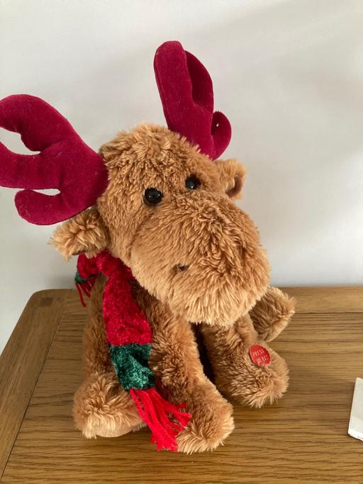 Buy & Sell Sedgley Dudley - Photos for Dancing/singing reindeer