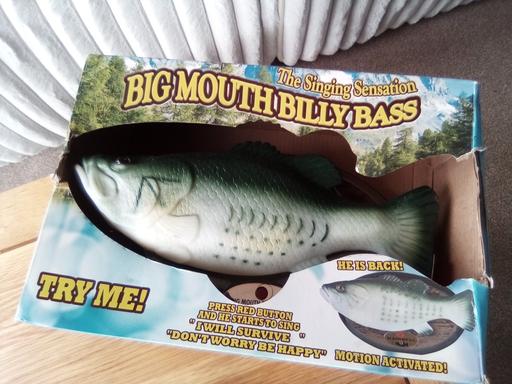 Buy & Sell Oxenhope Bradford - Photos for billy bass