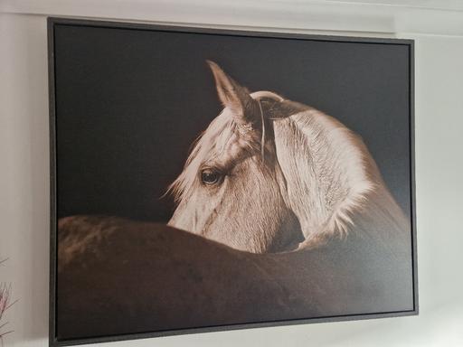 Buy & Sell Water Orton North Warwickshire - Photos for Large art work