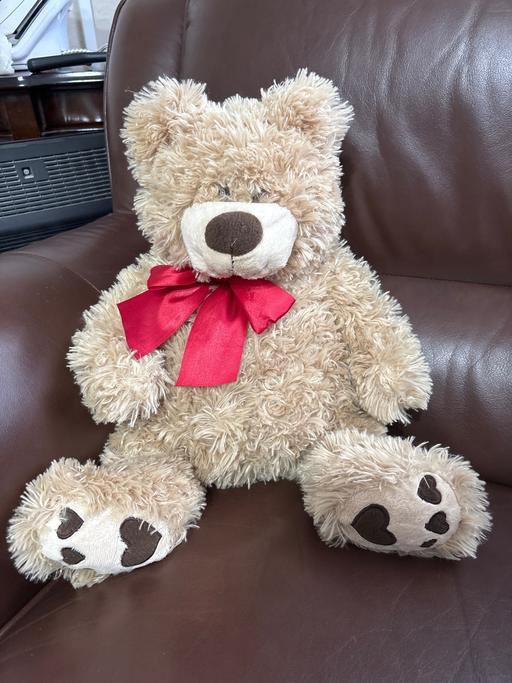 Buy & Sell Kingswinford Dudley - Photos for Curly bear teddy bear