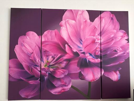 Buy & Sell Elephant and Castle South East London - Photos for 3 piece flower canvas