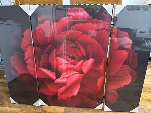 Buy & Sell Walworth South East London - Photos for 3 piece flower canvas