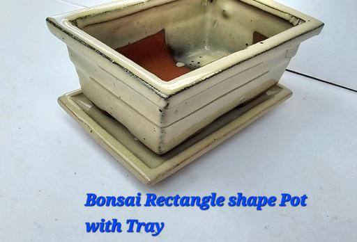 Buy & Sell Heath Hayes Cannock Chase - Photos for Bonsai Rectangle Pot & Tray Porcelain