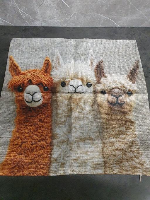 Buy & Sell Oxley Wolverhampton - Photos for New cushion cover