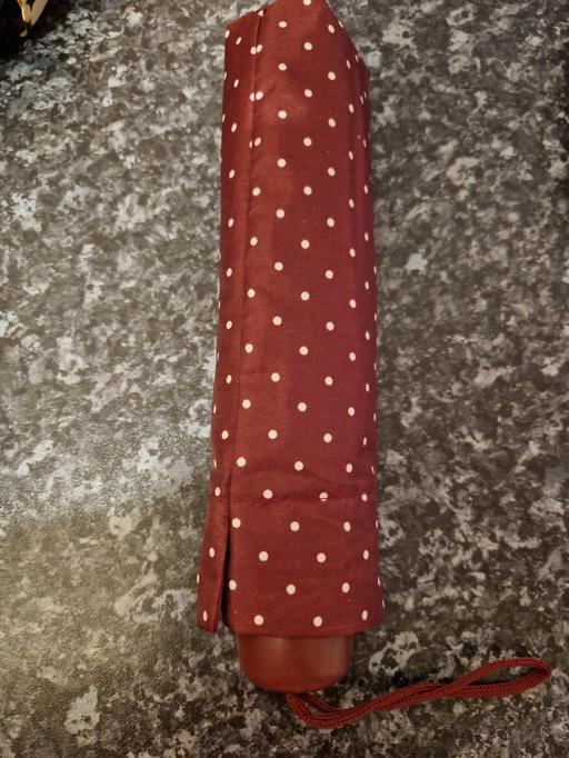 Buy & Sell Leicester City Centre Leicester - Photos for brand new umbrella