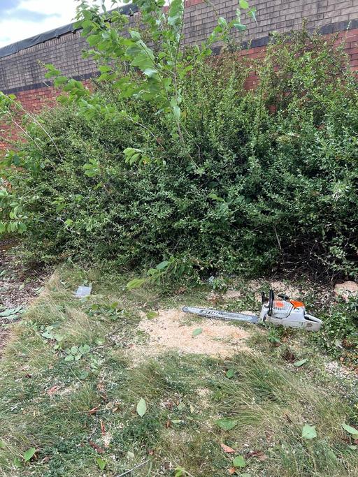 Buy & Sell Hall Green Birmingham - Photos for Tree surgeons,hedge trimmers,chimney removal