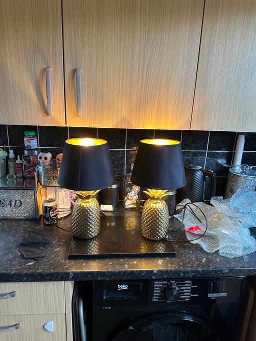 Buy & Sell Great Chart Ashford - Photos for Pineapple lamps