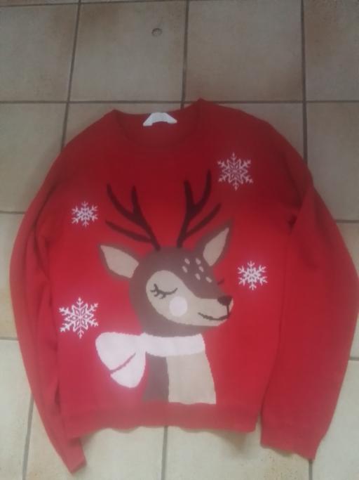 Buy & Sell Aldridge Walsall - Photos for GIRLS XMAS JUMPER