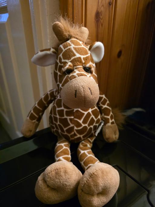 Buy & Sell Blackpool Town Centre Blackpool - Photos for Giraffe teddy