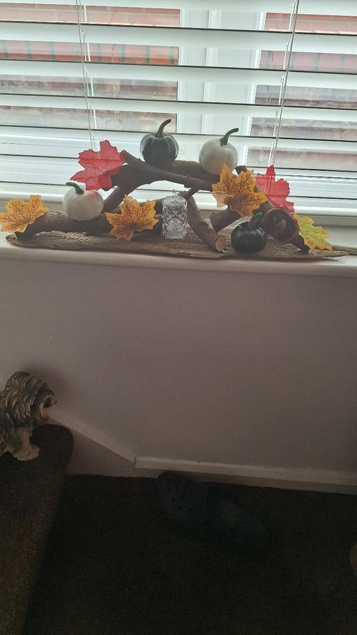 Buy & Sell Greatham Hartlepool - Photos for autumn table decoration