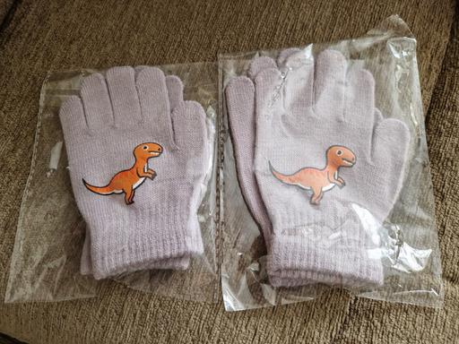 Buy & Sell Ramsgate Thanet - Photos for bn 2pairs dinosaur gloves small