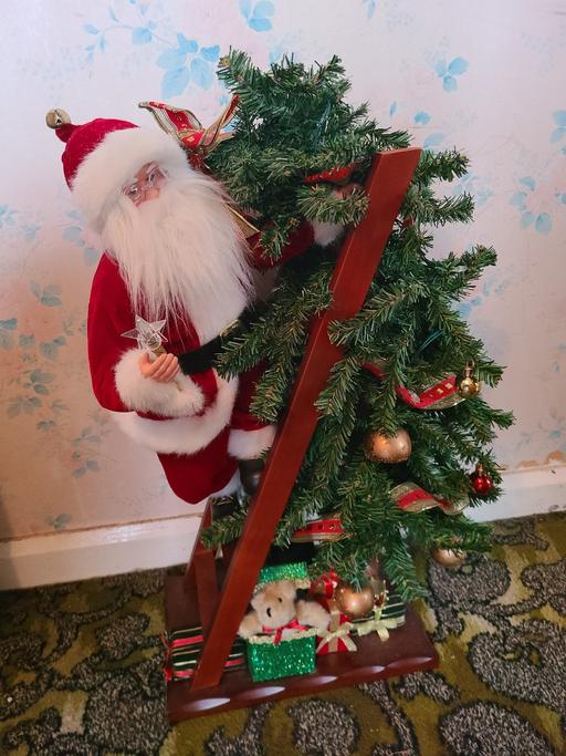 Buy & Sell Woodsetton Dudley - Photos for santa claus