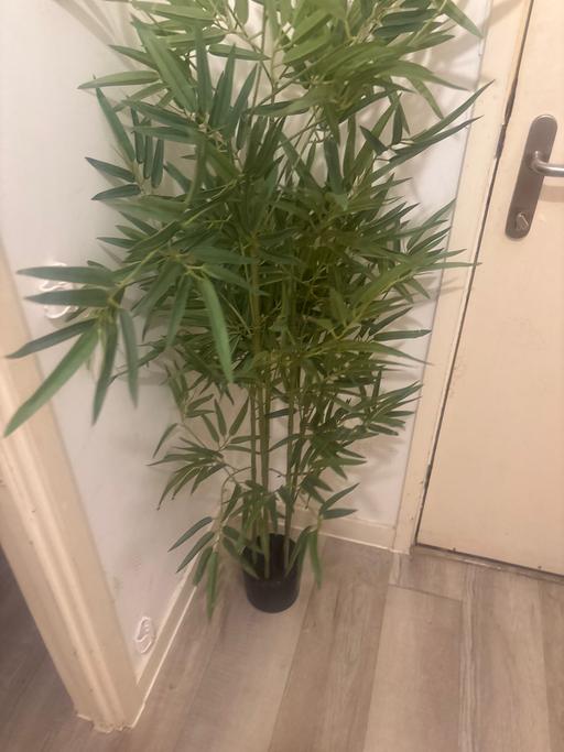 Buy & Sell Wandsworth Road South West London - Photos for Fake plant