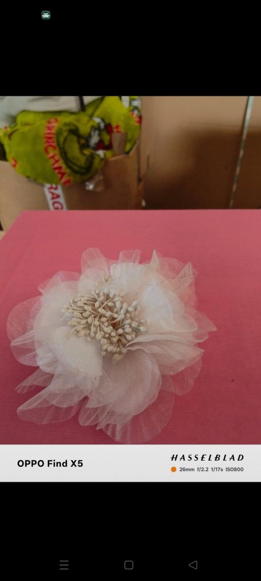 Buy & Sell Ponthenry Carmarthenshire - Wales - Photos for Hair clip