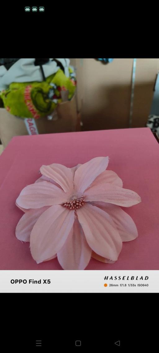 Buy & Sell Ponthenry Carmarthenshire - Wales - Photos for Hair clip