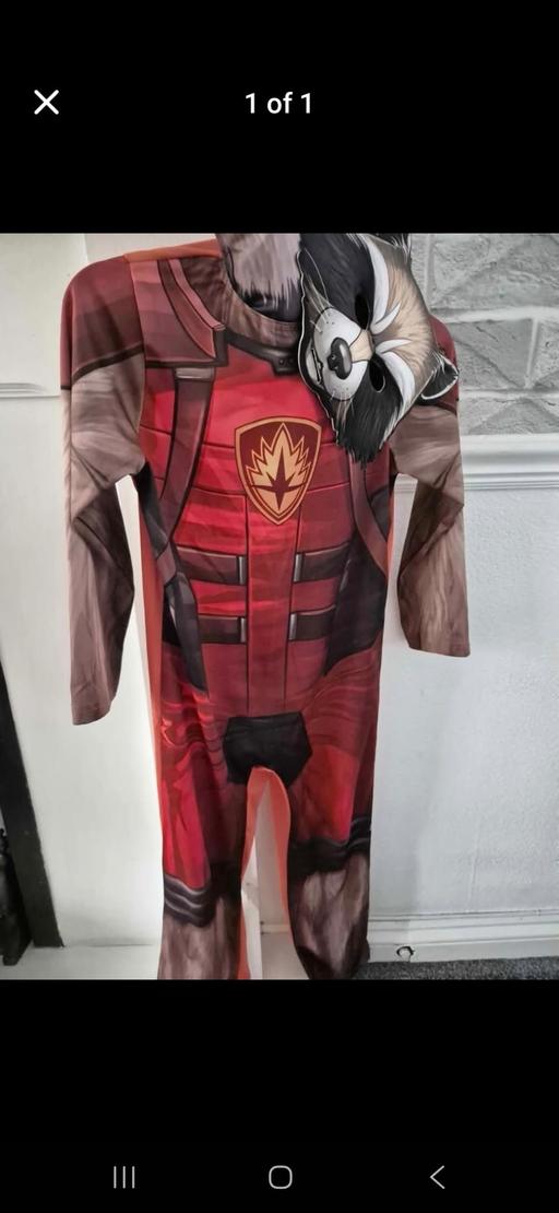 Buy & Sell Essington Wolverhampton - Photos for Rocket Raccoon fancy dress
