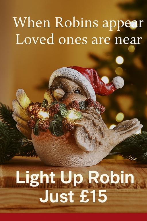 Buy & Sell Chase Terrace Lichfield - Photos for Light up Robin ornament