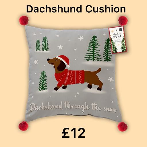 Buy & Sell Chase Terrace Lichfield - Photos for Dachshund Christmas cushion