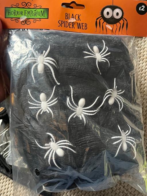 Buy & Sell Wednesfield Wolverhampton - Photos for New spooky spider web