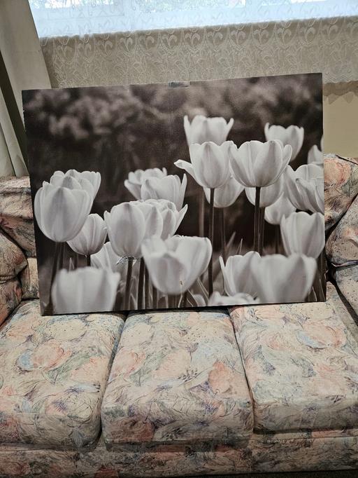 Buy & Sell Sittingbourne Swale - Photos for Canvas picture