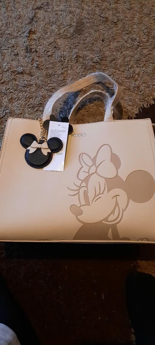 Buy & Sell Leagrave Luton - Photos for minnie mouse bag