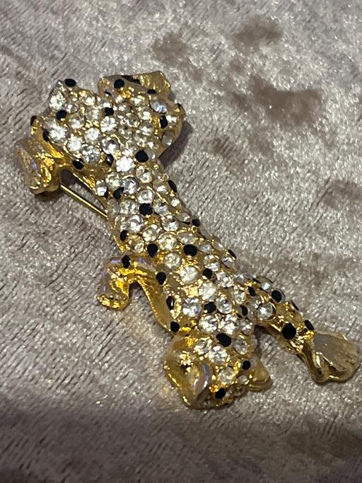 Buy & Sell Ovingdean Brighton - Photos for Beautiful vintage leopard brooch