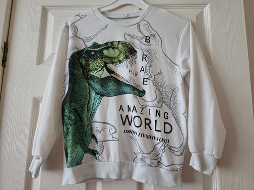 Buy & Sell Blackpool Town Centre Blackpool - Photos for Dinosaur sweatshirt age 9 yrs