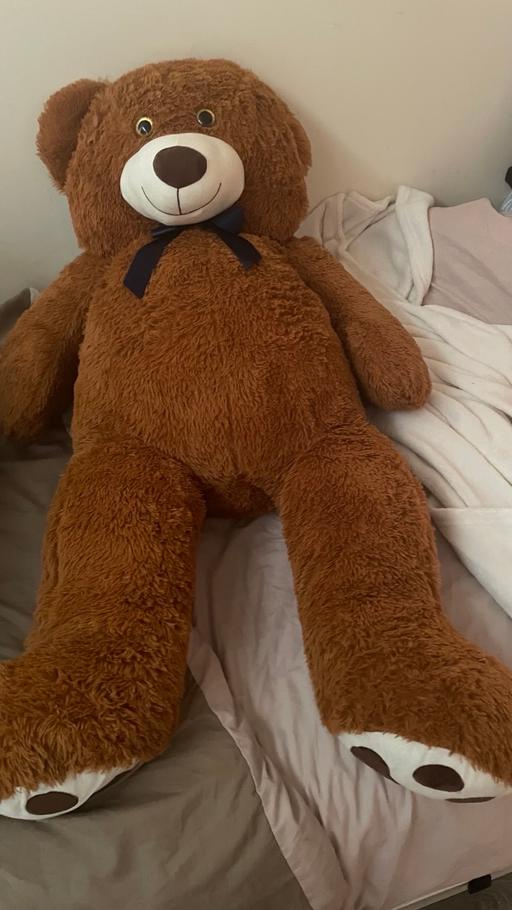Buy & Sell Great Barr Birmingham - Photos for Big brown bear