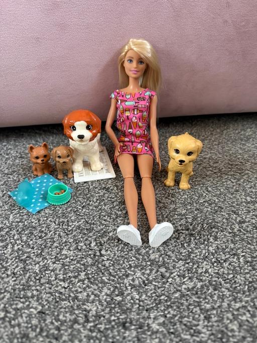 Buy & Sell Sole Street Gravesham - Photos for Barbie playset doggie daycare