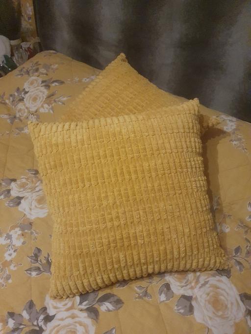 Buy & Sell Bradmore Wolverhampton - Photos for 2 large cushions