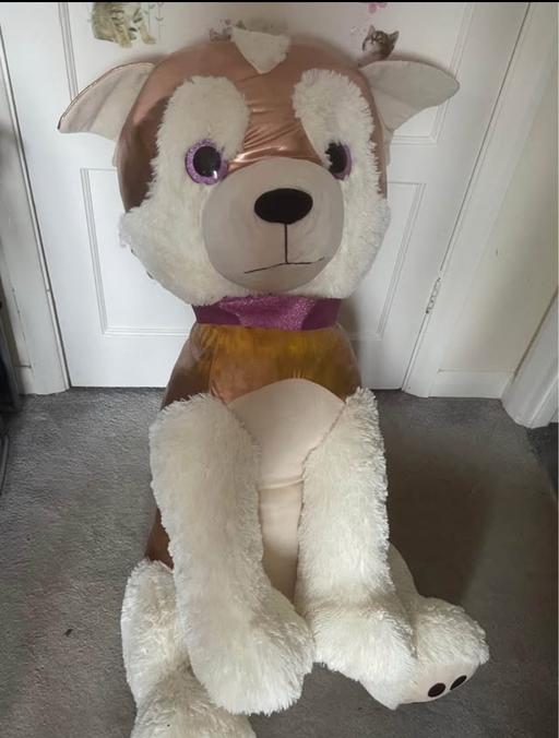 Buy & Sell Staines-Upon-Thames Spelthorne - Photos for Big dog Teddy