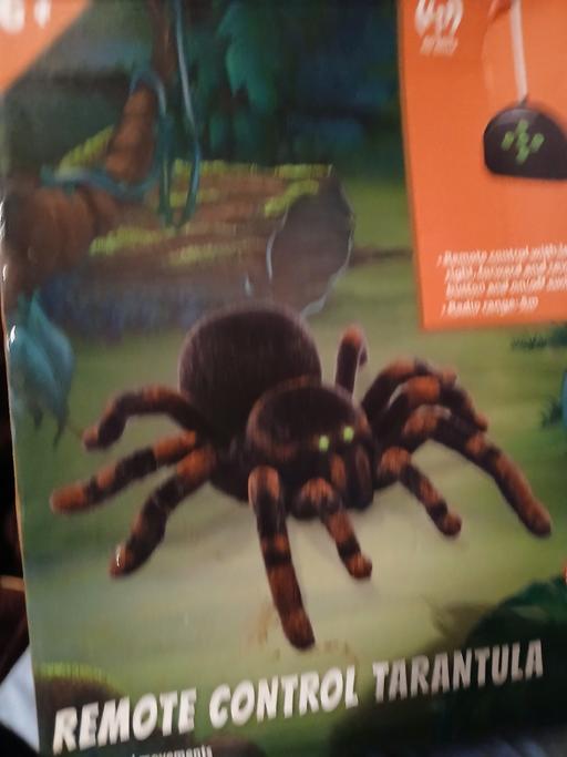 Classes Netherton Dudley - Photos for remote control spider new