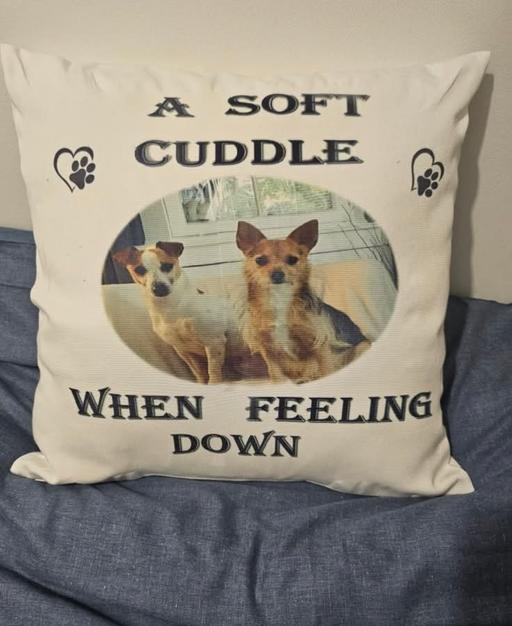 Buy & Sell Audenshaw Tameside - Photos for personalised cushion (with filling)