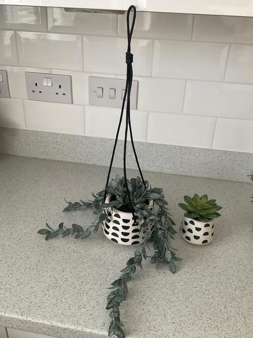 Buy & Sell Telford Way Industrial Estate North Northamptonshire - Photos for Next hanging artificial hanging plant