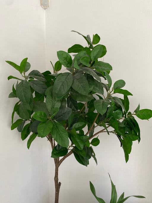 Buy & Sell Grays Thurrock - Essex - Photos for Indoor artificial Ikea tree