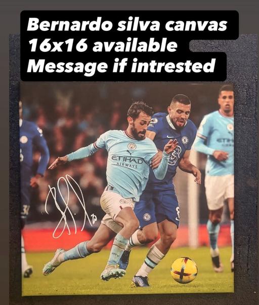 Buy & Sell Wythenshawe Manchester - Photos for signed bernado canvas