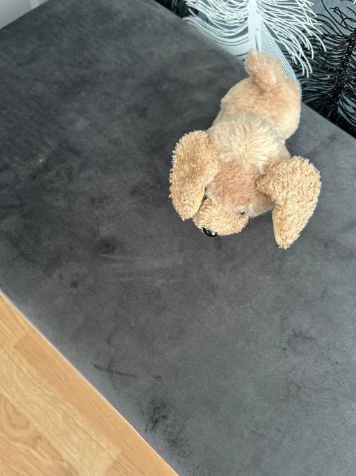 Buy & Sell Halsnead Park Knowsley - Photos for Small dog